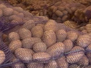 I'm selling edible potatoes of the following varieties: Gala,