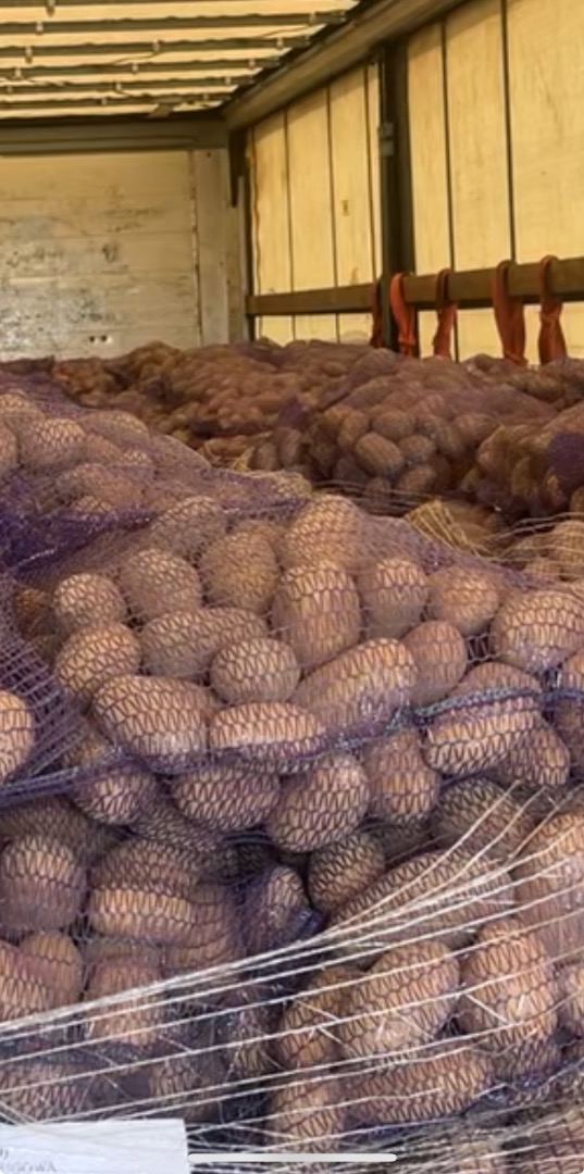 I'm selling edible potatoes of the following varieties: Gala, Queen Anna, Bernina, and Corina