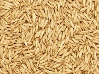 Oats for sale Production 2025, 35 lei/bag 3 double
