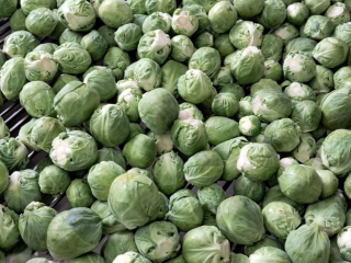 Brussels sprouts for sale, healthy, clean product, packaging negotiable