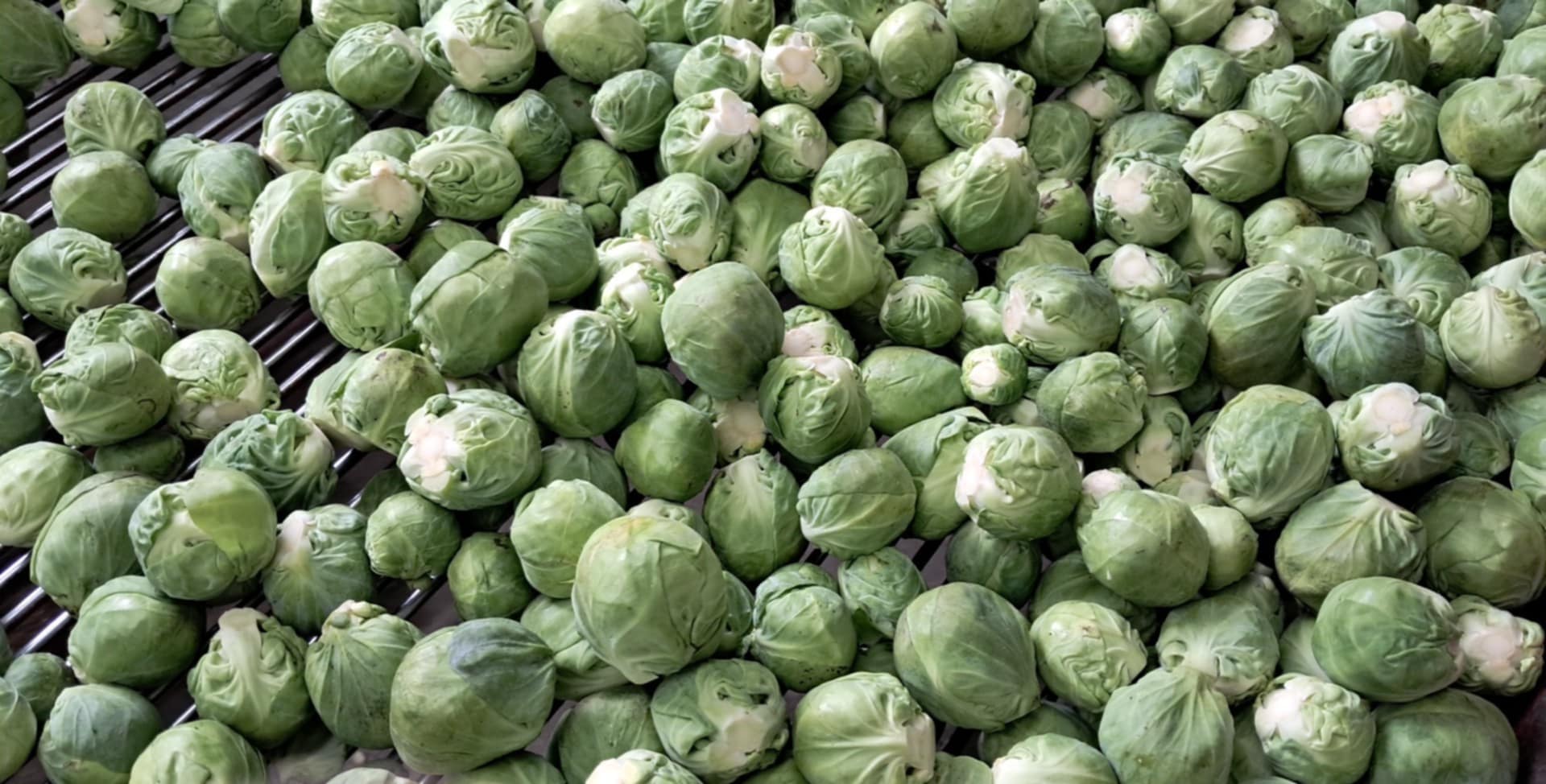 Brussels sprouts for sale, healthy, clean product, packaging negotiable