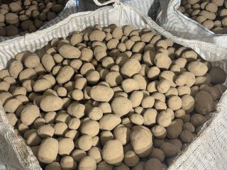I'm selling Vineta ware potatoes. These potatoes are certified