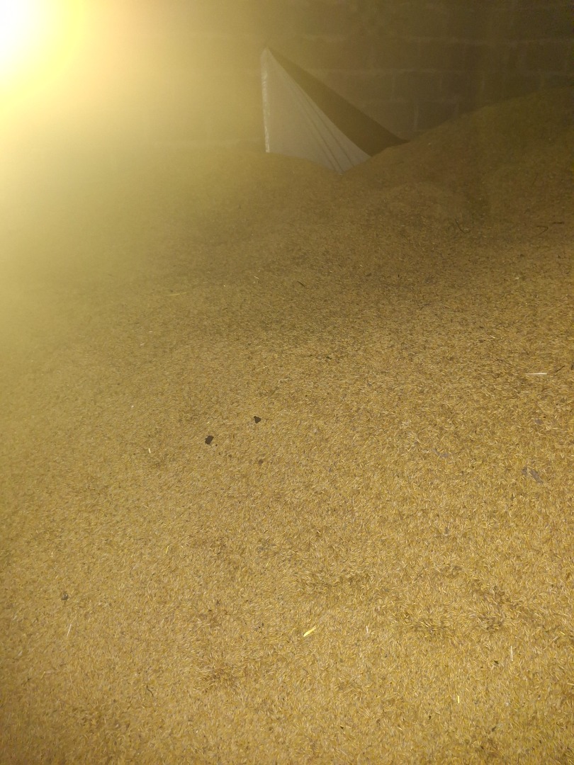 I am selling oats, more information by