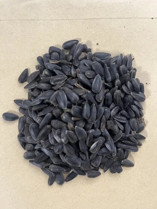 I will sell black sunflower seeds, cleaned to ~99%