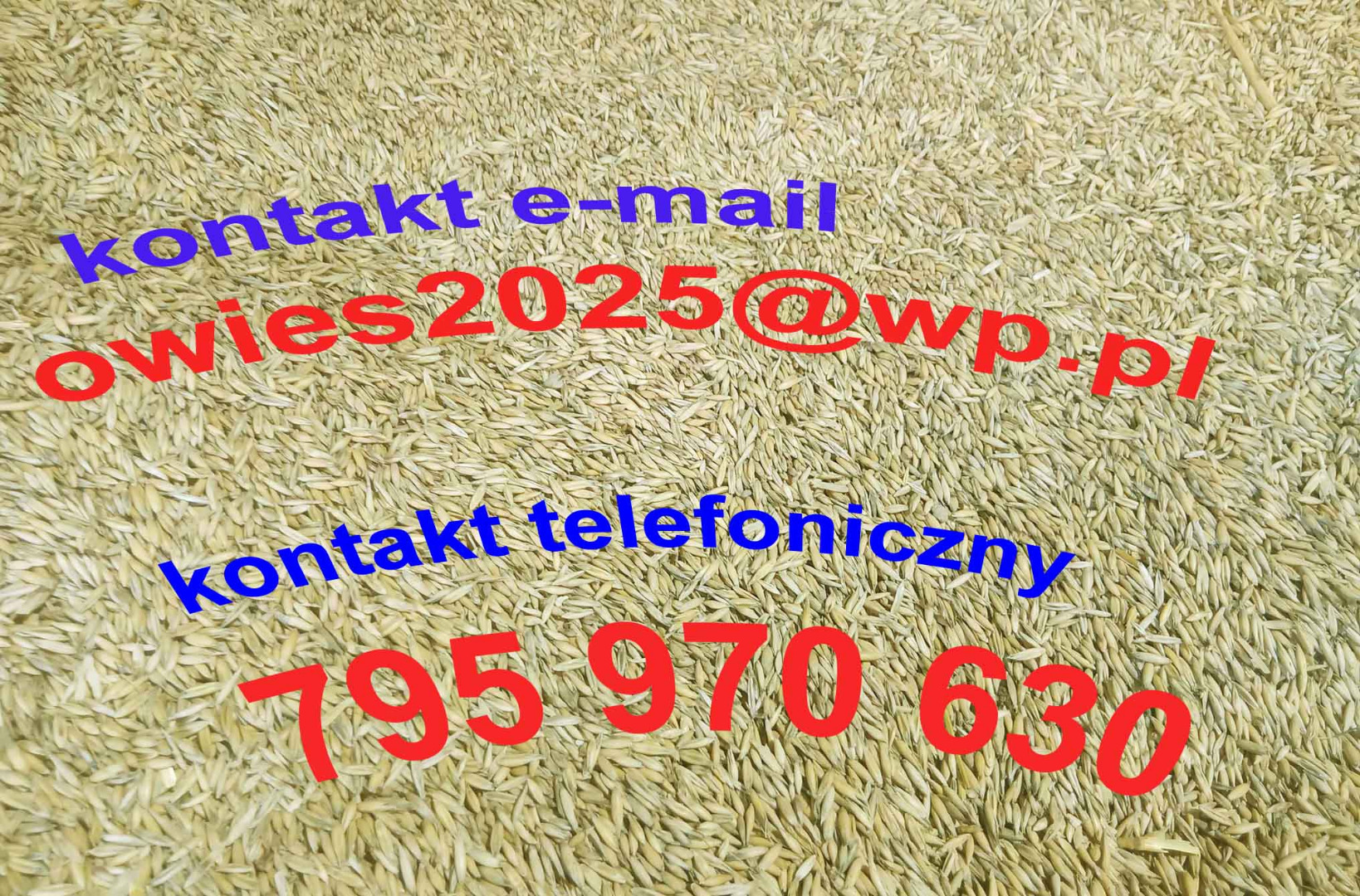 I'm selling oats from the 2025 harvest