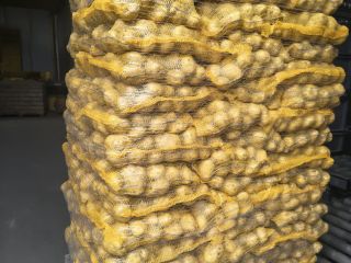 FOR SALE - Potatoes with PHYTO testing available. Truckload