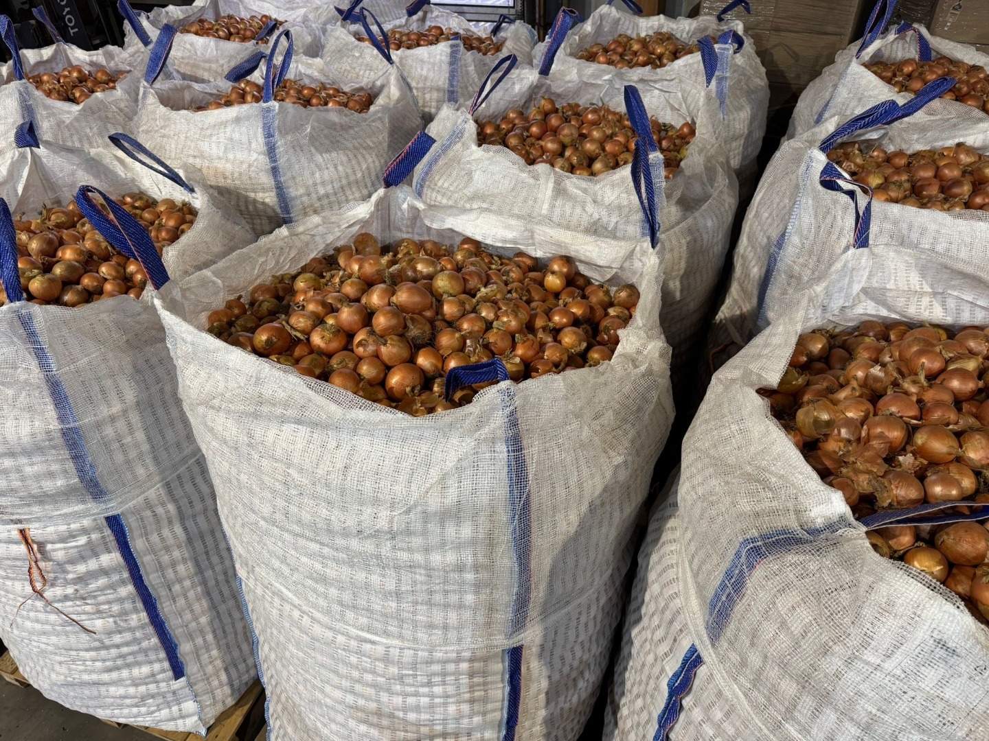 We are an Austrian company and sell high-quality yellow and red onions of all varieties year-round in Big Bags from our own production