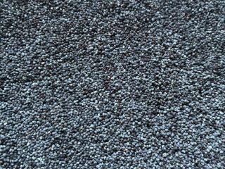 I have nice cleaned poppyseeds for sell. Quantity 15146kg