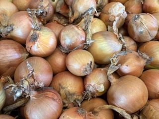 I'm looking to buy yellow onions from Germany or