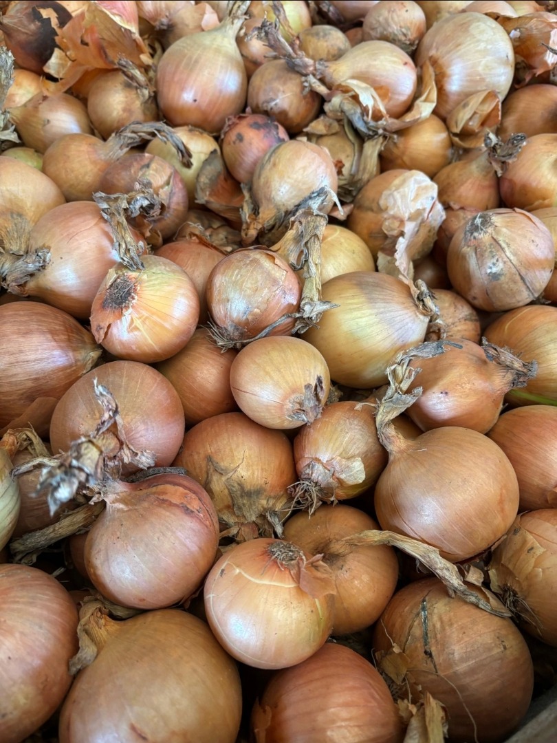 I'm looking to buy yellow onions from Germany or Austria