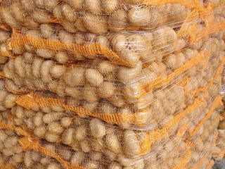 I'm selling Gala 45+ potatoes. They're washable and packed