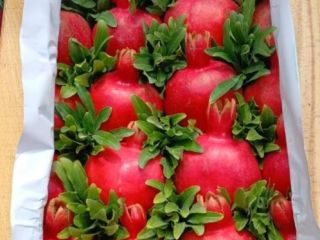 Pomegranate — Technical Datasheet (Export Quality) Origin: Azerbaijan Variety: