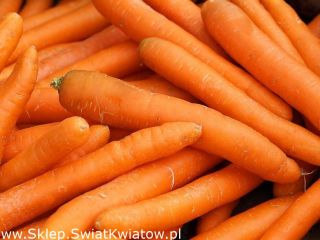 Hello, we will buy carrots in caliber 2-4. Washed