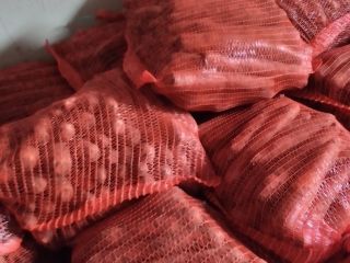 Hello, I have carrots for sale in bags, PLN