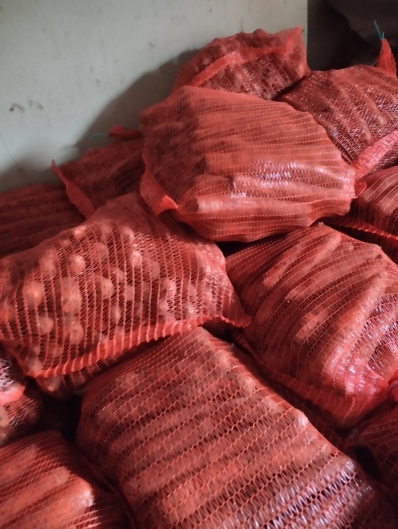 Hello, I have carrots for sale in bags, PLN 10 per bag, Łódź, Ozorków area, phone number