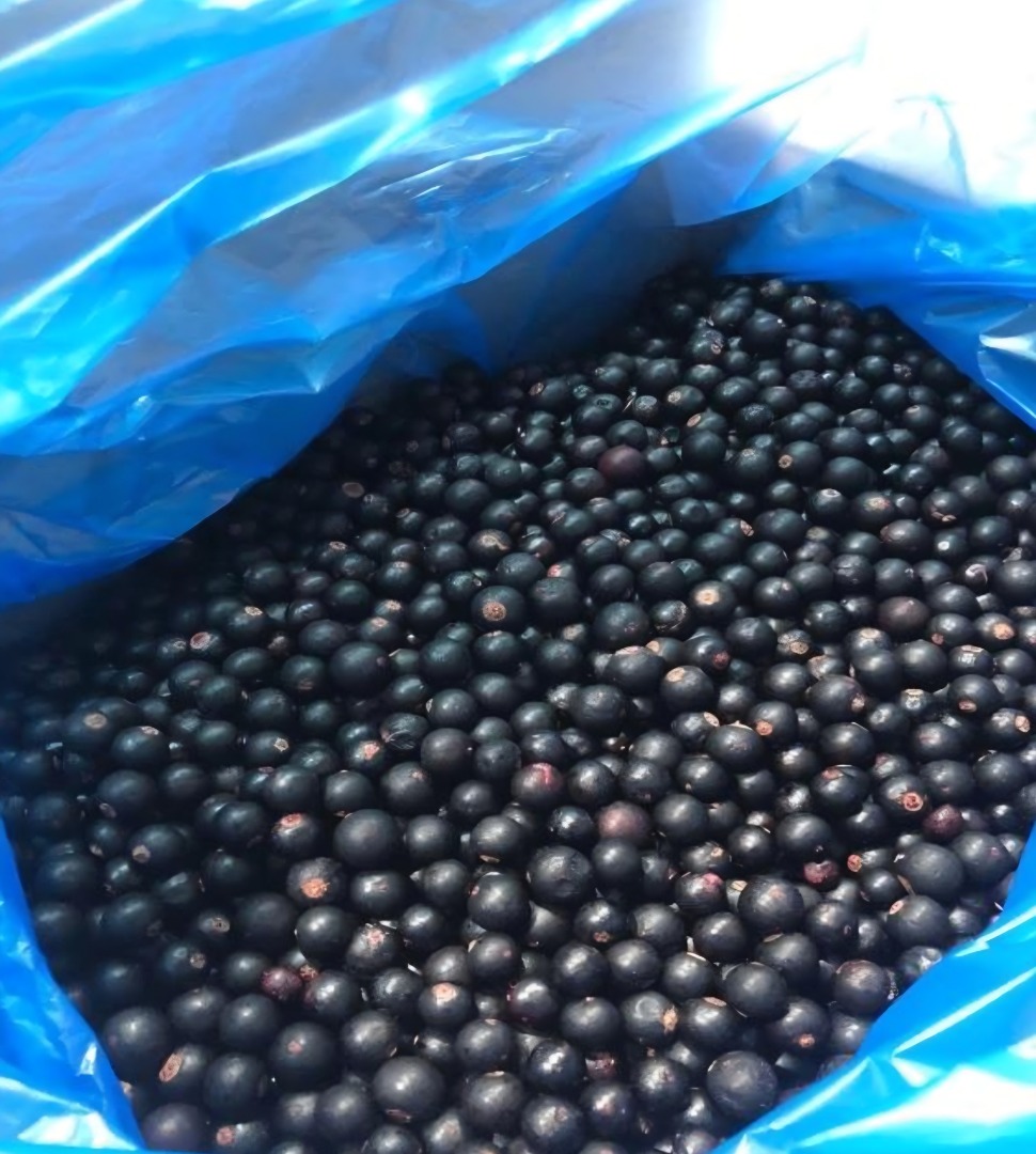 Black currants for sale – Grade A, direct producer from Moldova