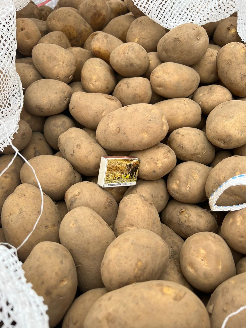 Yellow potatoes for sale, Caliber and 45+, 50+, 55+, 70+