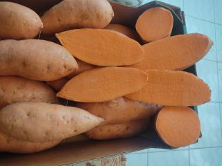 Sweet Potatoes – Product of Egypt Premium Egyptian Sweet
