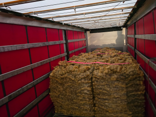 Vinieta Potatoes Packed in 10 or 15 kg bags