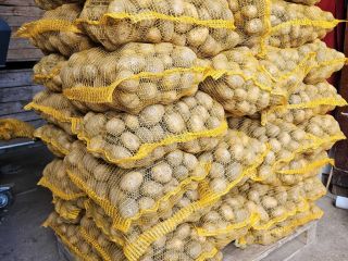 Soraya edible potatoes. Carrots, Parsley, Beetroots. Soraya edible potatoes