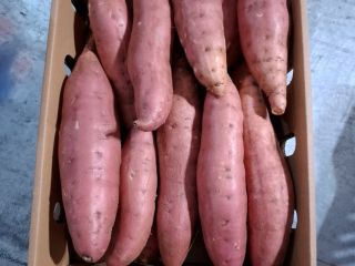 Available for export premium quality sweet potato. Container loads