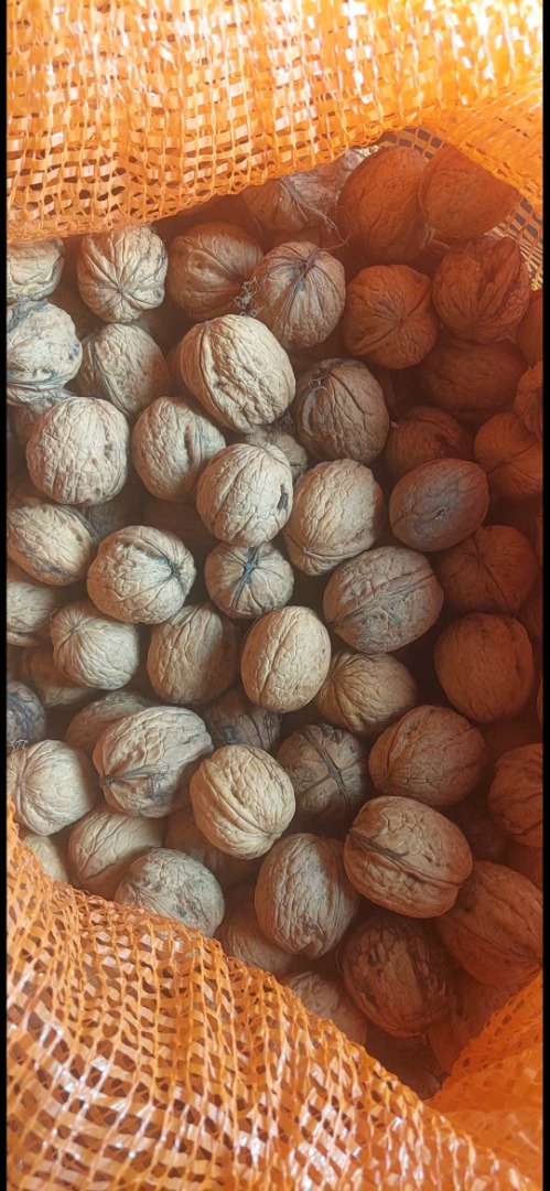 Whole walnuts for sale, originating from Poland (Lublin region)