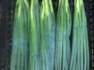 I will sell salad chives, country of origin Egypt.