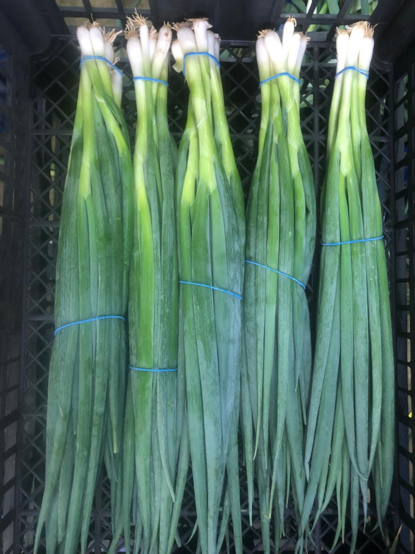 I will sell salad chives, country of origin Egypt