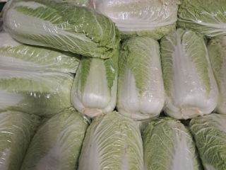 Hello, I'm selling Chinese cabbage, 0.8-1.8kg in size and