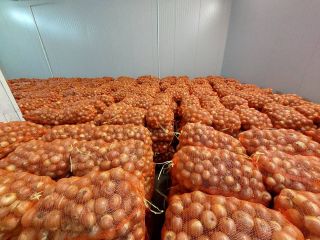 We are a reliable onion producer and supplier from