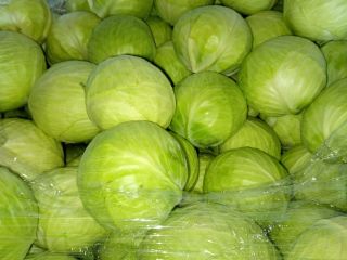 I will sell white cabbage and red cabbage 1-3