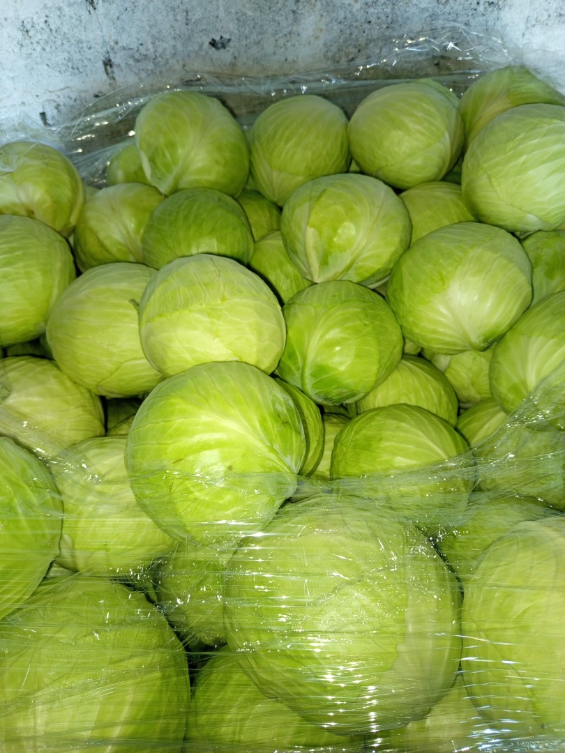 I will sell white cabbage and red cabbage 1-3 kg, packaging to be agreed, white cabbage caliber 1 kg-3 kg, 3 kg-4 kg, specific, clean market product, variety