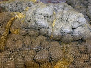 I have 24 tons of PARADISO ware potatoes for
