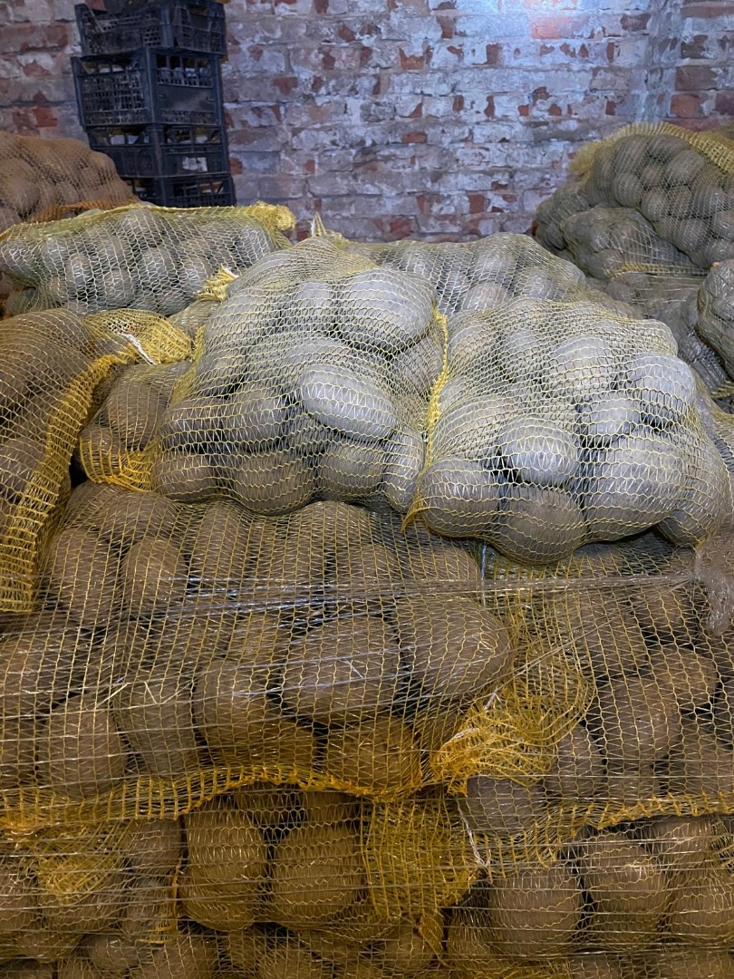 I have 24 tons of PARADISO ware potatoes for sale, packed in 10 kg sewn bags