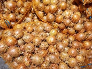 I will sell onions.