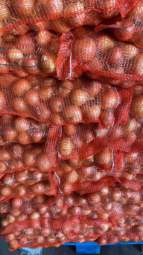 We ll harvest 100 ha green beans and 100 ha green peas in June 2026 We ll sell 1000 t onion , 500 t carrot