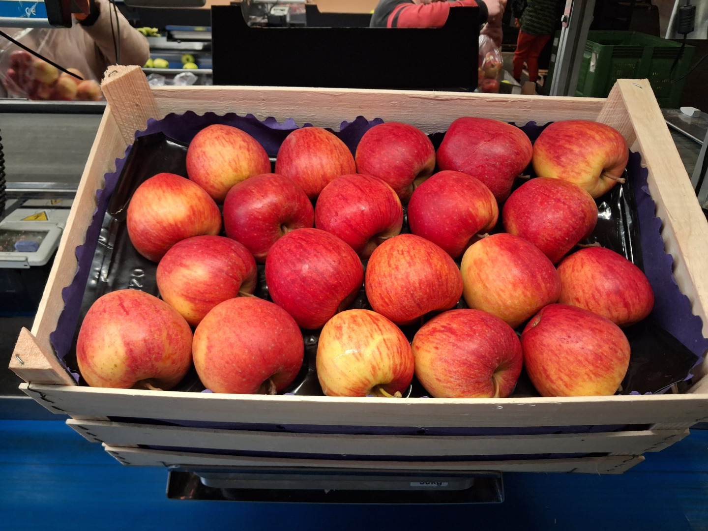 I sell dessert apples, small and second-class varieties: Idared, Golden Delicious, Prince, Gala, and Red Cap
