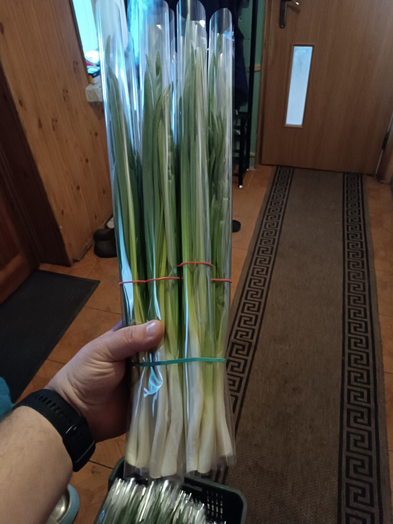 Hello, I sell chives in bunches and by weight