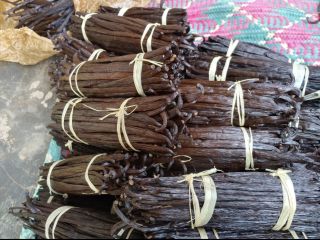 Fresh vanilla beans (Bourbon variety) from Uganda. Any quantity