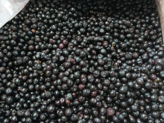 IQF Frozen Strawberries & Blueberries Origin: Belarus We offer