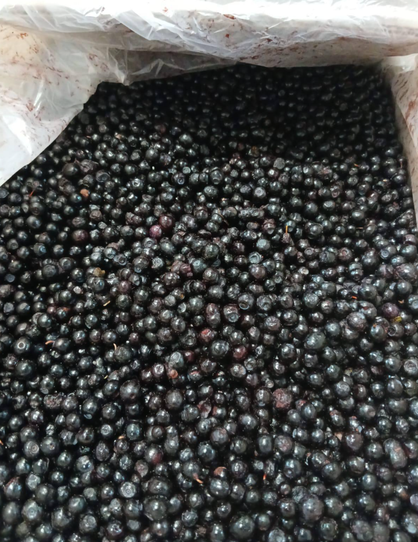 IQF Frozen Strawberries & Blueberries Origin: Belarus We offer high-quality IQF frozen strawberries and blueberries for processing and wholesale distribution