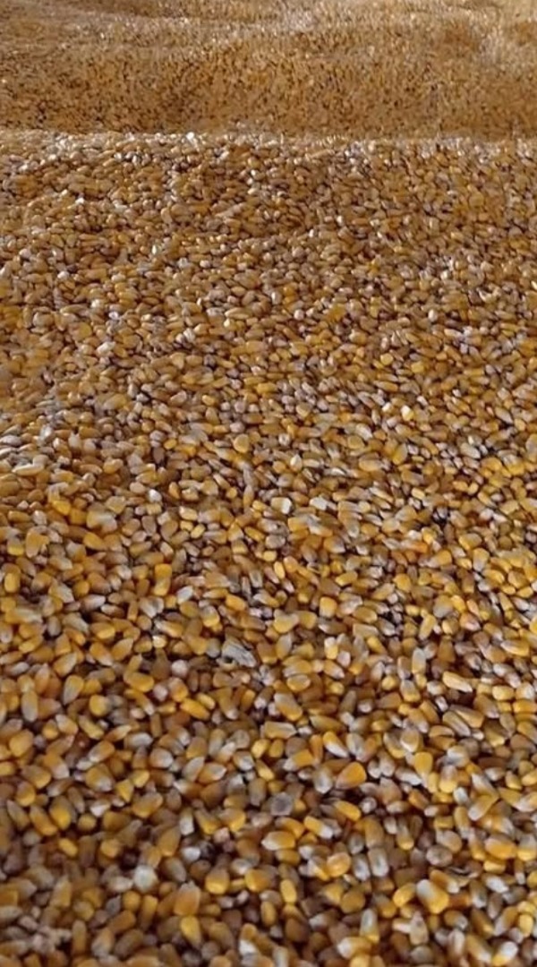 I am selling 8 tons of corn