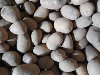 I'm selling edible potatoes, as pictured. The variety is