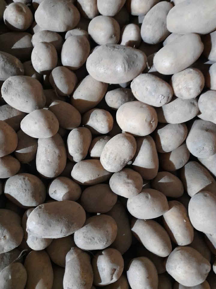 I'm selling edible potatoes, as pictured