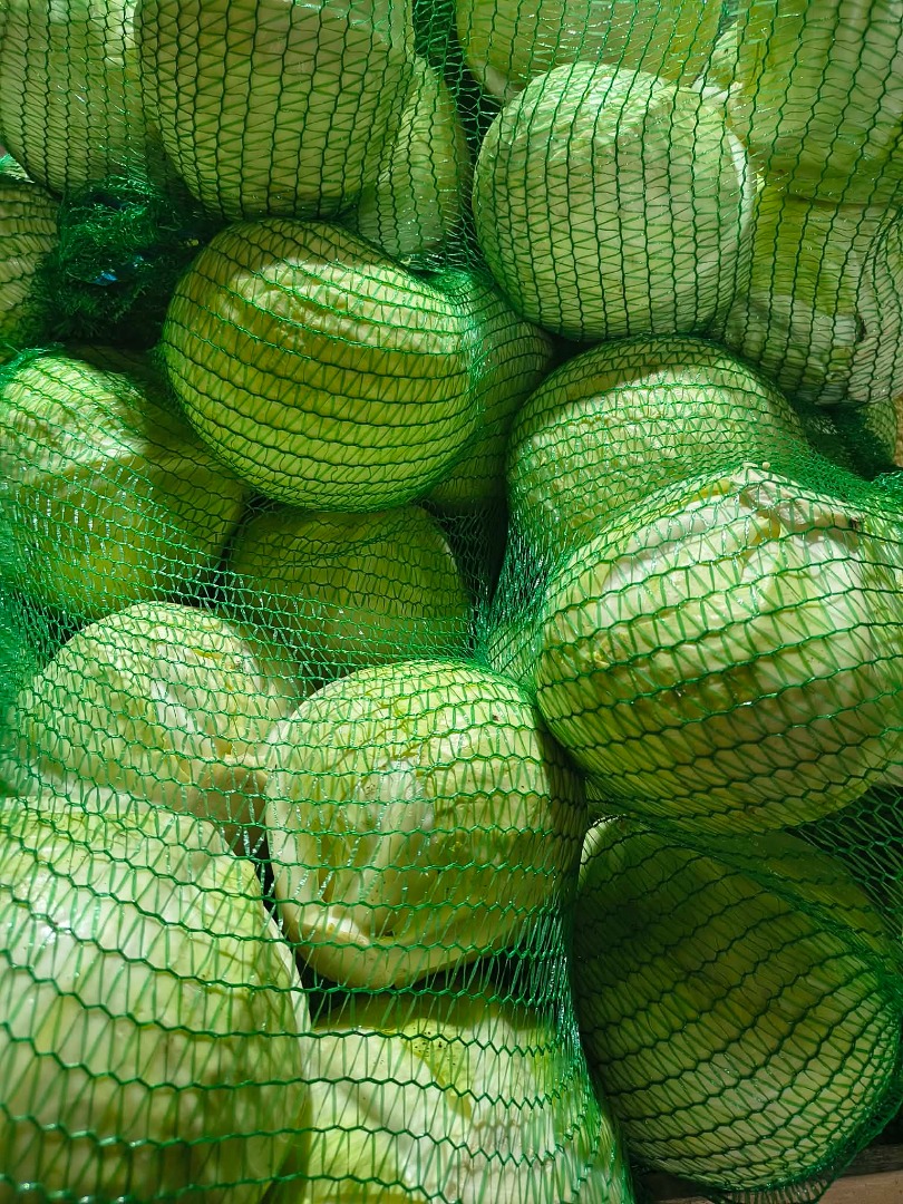 White cabbage - Zoltan variety