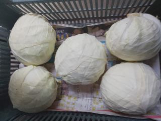 I'm selling 10 tons of white cabbage: 7 tons