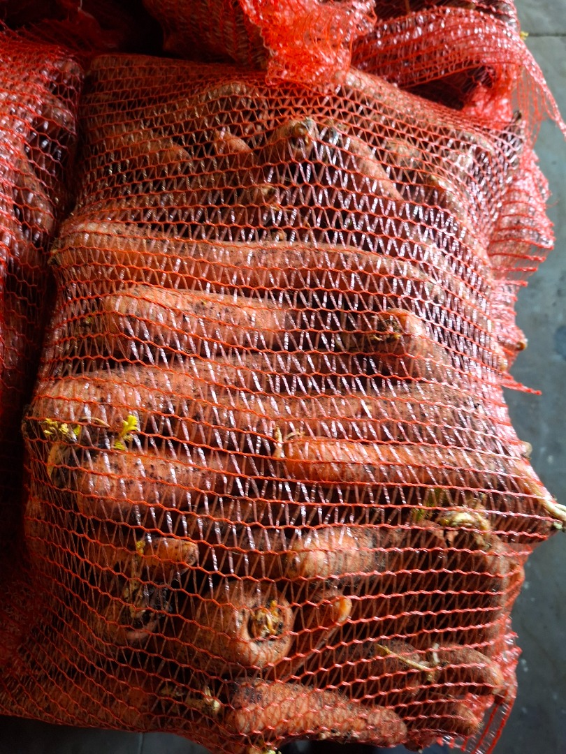 I will sell unwashed/washed carrots, cal 2.5-4, sewn bag/bb/bulk, truck quantities