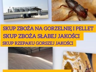 I will buy low quality grain for pellets and