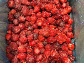 Frozen strawberry of Serbian origin, Viktoria variety, quantity available: