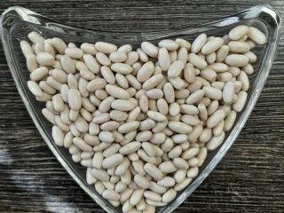 For sale. ALUBIA white beans. Quantity: 22 tons. Harvest
